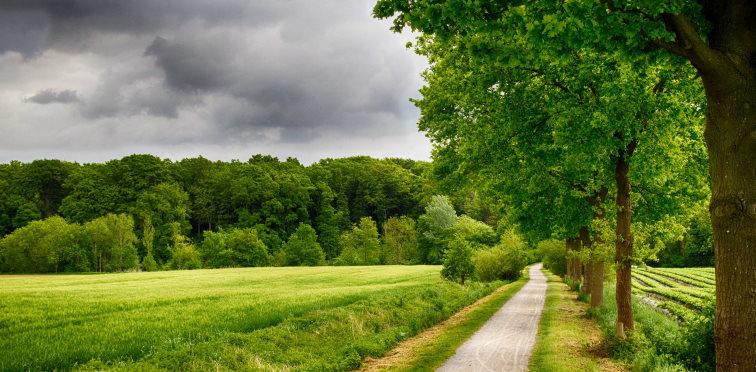 Rural Area around Münster